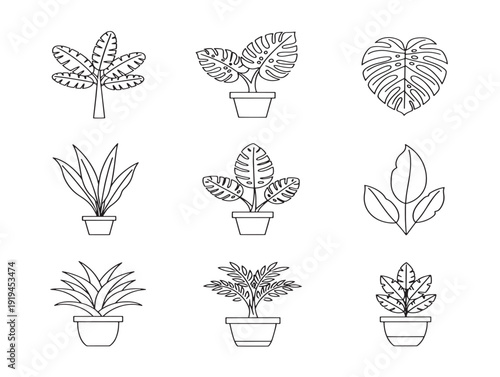 Lush tropical plants outline with exotic botanical elegance