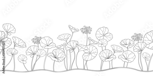 Horizontal eamless pattern with outline Centella (asiatic pennywort) or gotu kola flower and leaves in black on the white background.
