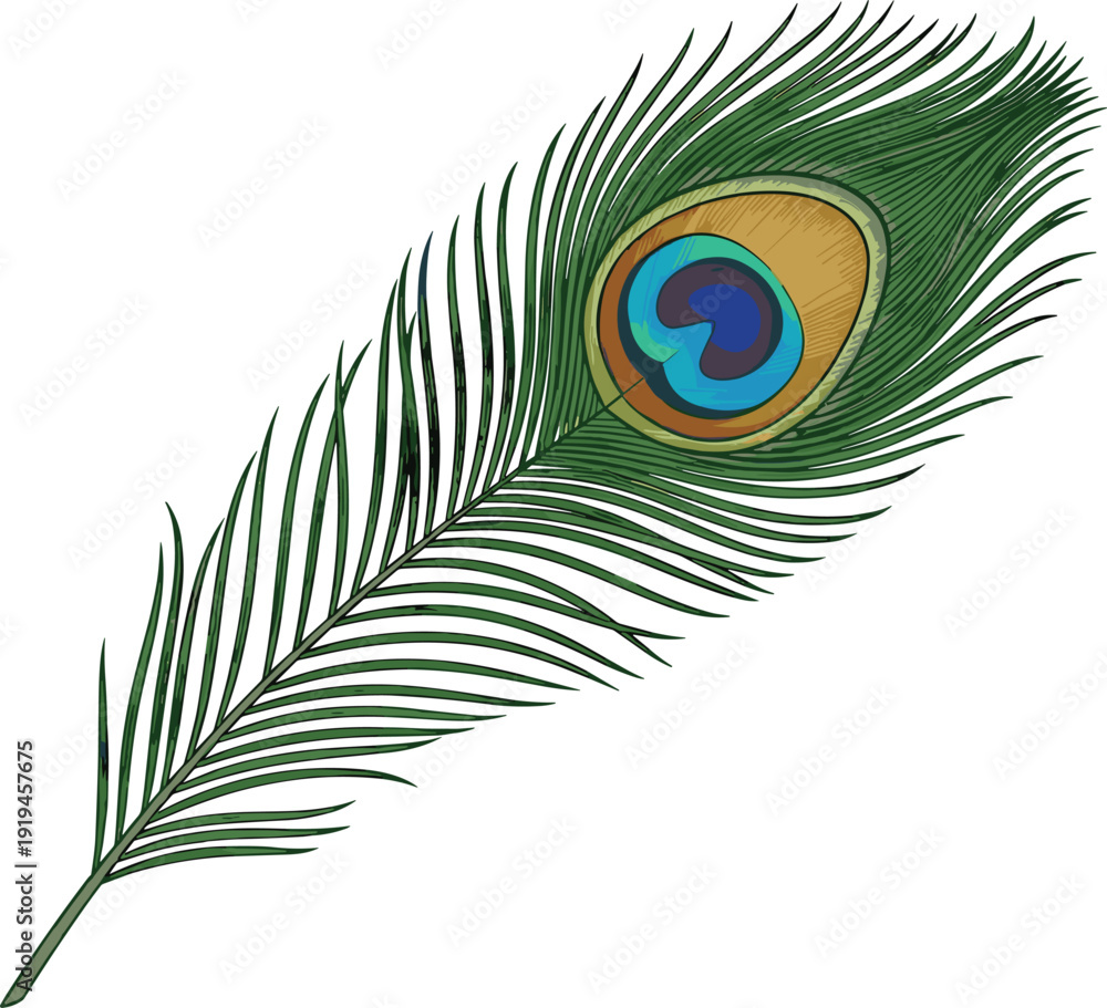 Obraz premium Vector, Illustration, of, Colorful, Peacock, Feather, with, Eye, Detail, for, Identity, Branding, Professional, Graphic, Design, Projects, Collection, Elements, Nature, Beauty, Plumage, Bird, Art