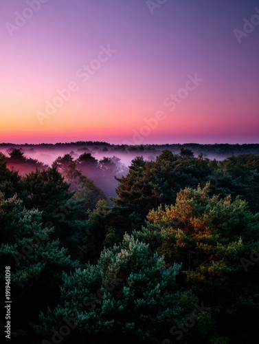 Dusk settles over a peaceful forest landscape in autumn