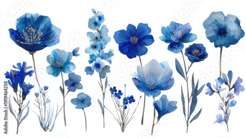 Collection of diverse blue flowers in various shapes and sizes on white background.