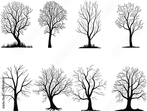 Set of leafless tree silhouettes isolated on white background, winter forest nature illustration for landscape design, botanical vector collection pack