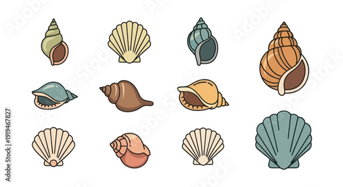Colorful shells collection vector illustration