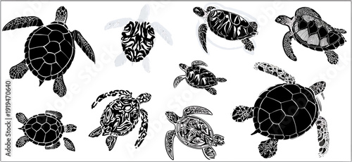 Turtle vector art perfect for logo tattoo decal designs Sea creature art patterned shell turtles Unique intricate patterns on shells and bodies showcasing a tribal or ancient style