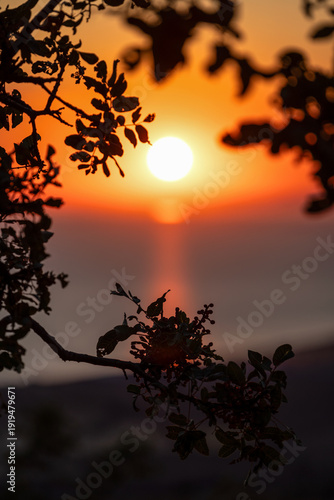 Beautiful sunset at the Aegean sea, Samothrace or Samothraki island Greece, tree silhouette, enjoying summer vacation, wellness and tourism