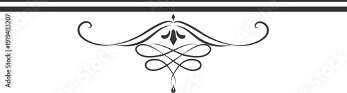Divider ornamental classic elegant hand drawing element