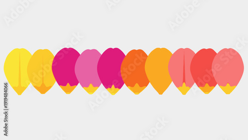 Colorful Flower Petals Arranged in a Row, Abstract Floral Pattern