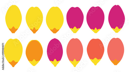 Colorful Flower Petals Collection, Vibrant Spring Floral Elements, Isolated on White Background