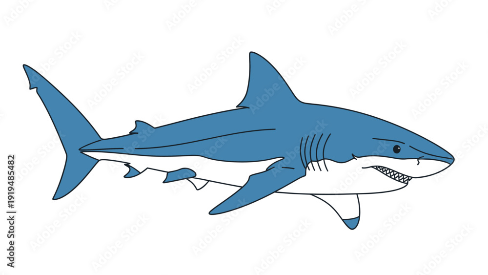 Obraz premium Illustration of a Great White Shark swimming in clear blue water
