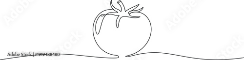 Minimalist continuous line art illustration of a ripe red tomato, perfect for healthy food branding, organic market designs, or natural kitchen decor
