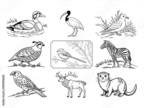 the animal bird and flower black vector bundle