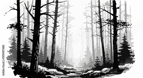 Misty Forest Path with Tall Trees and Rocks.