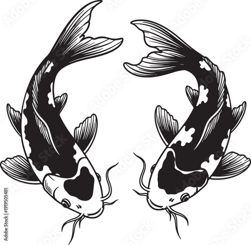 Two black and white koi fish swimming in opposite directions with detailed fins and tails also transparent background