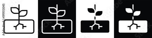 Plant lineal glyph icon style in white and black background