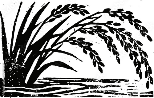 Black silhouette of rice plant with grains over water in vintage woodcut illustration