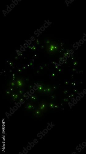 A bright, magical flash of glowing lights. A festive fireworks display of unforgettable emotions.
