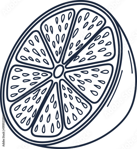 illustration of a sliced citrus fruit half with detailed seeds and segments outlined in black