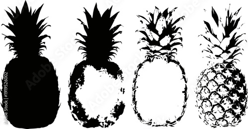Four pineapples silhouettes in different grunge styles tropical fruit illustration set