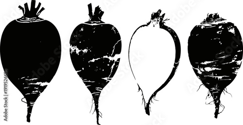 Black and white beets illustrations set different silhouette styles with root vegetables