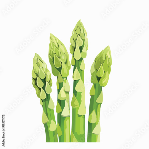 Fresh green asparagus stalks against a clean white background