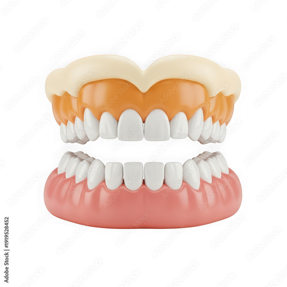 Fototapeta premium A detailed illustration of a human mouth showing teeth and gums with highlighted areas