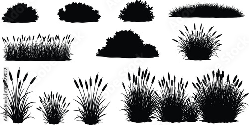 Collection of various types of grasses and foliage in black silhouette on white background