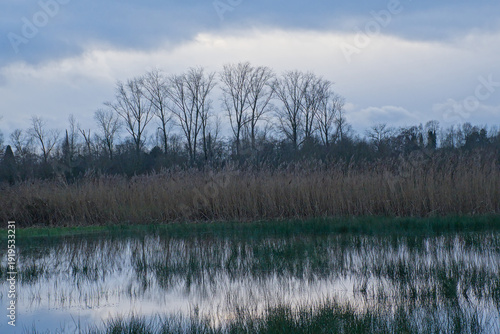 Dark cloudy evening sky over a marsh in the flemish countryside in the blue hour. 