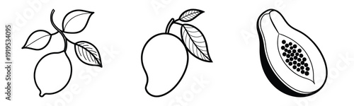 Tropical Fruits Collection: Lemon, Mango, Papaya Hand Drawn Vector Illustration