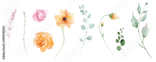 Tableau sur toile Watercolor floral clipart set