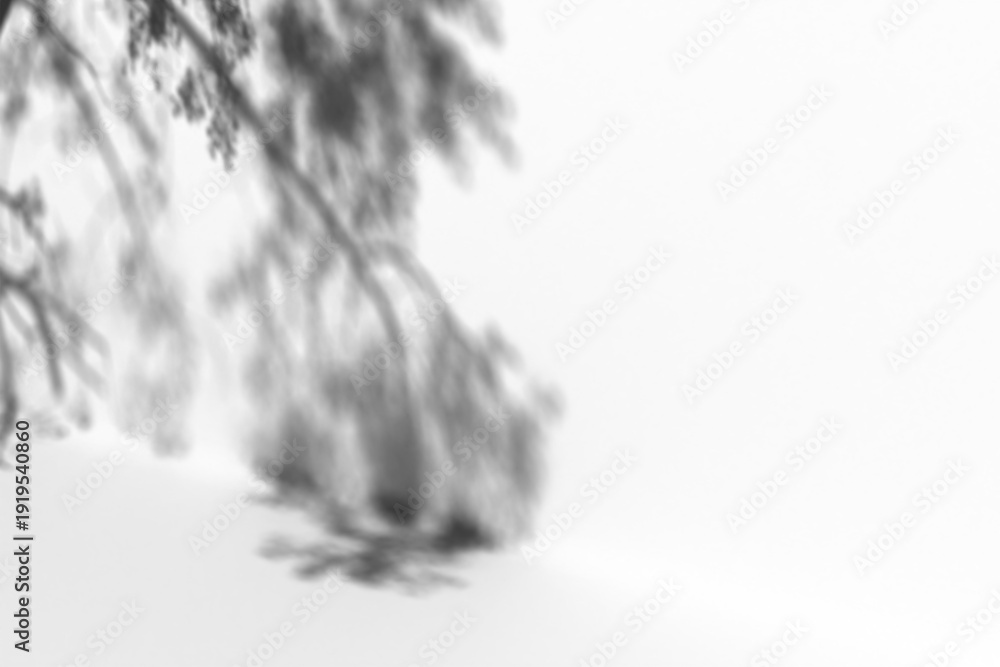 Fototapeta premium Leaves shadow and tree branch background, in transparent background