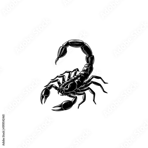 Black Scorpion Vector Illustration with Detailed Design