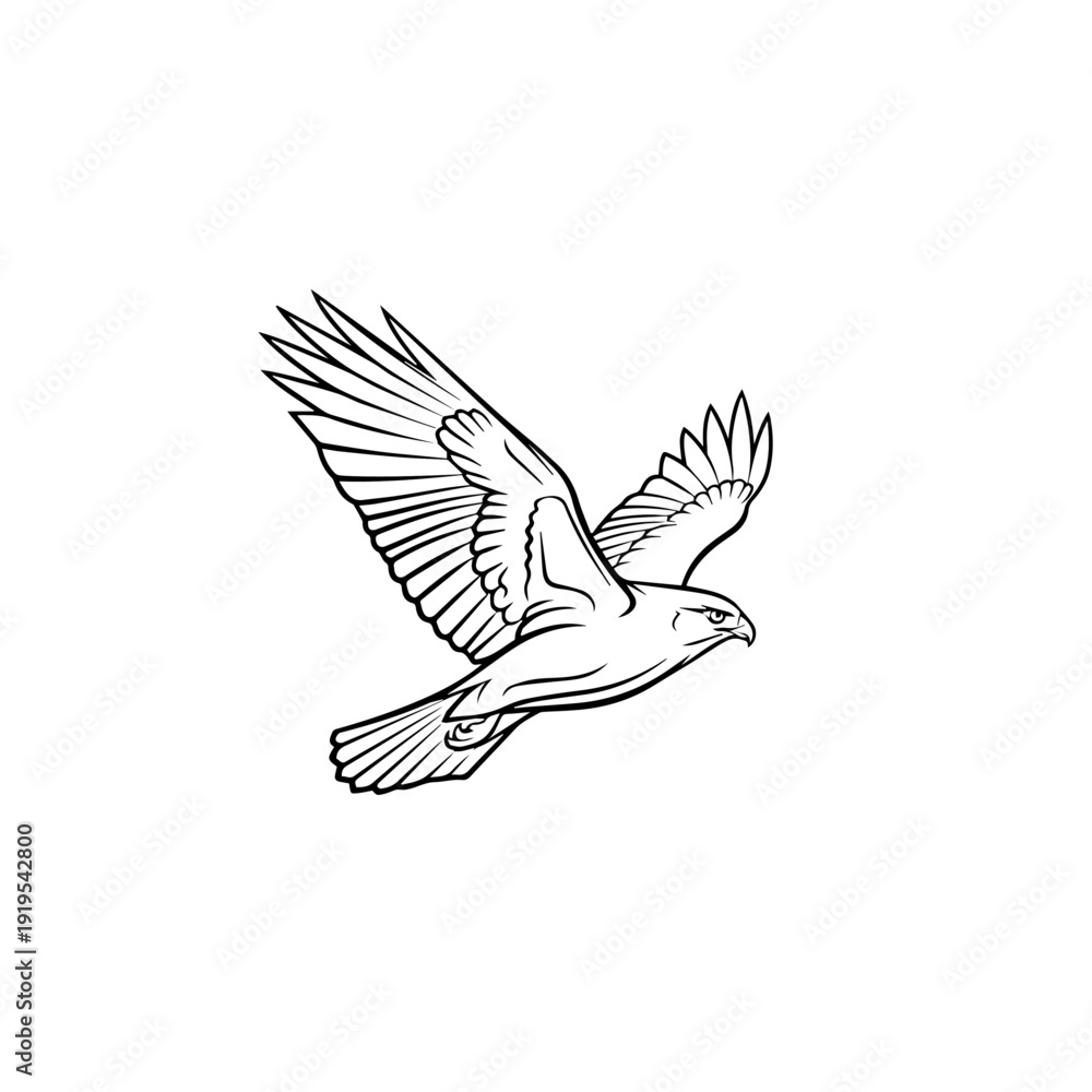 Fototapeta premium Majestic Flying Hawk Outline Vector Illustration