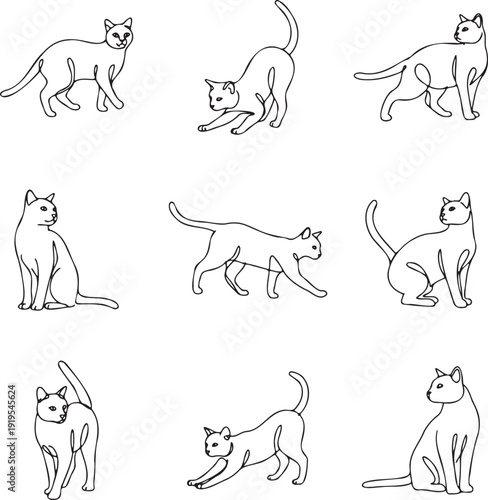 Collection of nine minimalist line art illustrations depicting cats in various playful and resting poses showcasing elegant