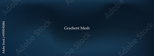 Luxury Dark Blue and Navy Vector Background with Smooth Gradient Mesh, Soft Blurry Fluid Texture for Modern Corporate Tech Web Banner and Digital Header