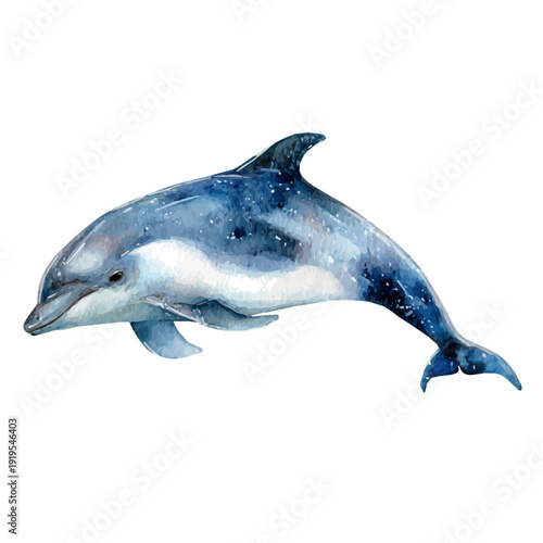 Watercolor Porpoise vector, artistic painting style, high-resolution illustration on a pure white background.