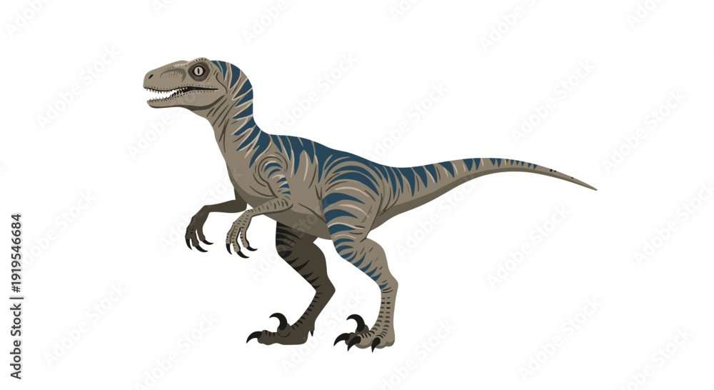 Fototapeta premium A grey Velociraptor dinosaur with distinctive blue stripes standing in a side profile with open mouth.