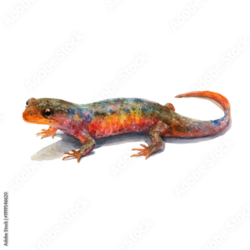 Newt watercolor vector illustration, high-quality artwork isolated on a pure white background.