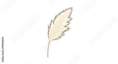 A single feathery pampas grass plume with a tall slender stem stands gracefully on a plain white background.