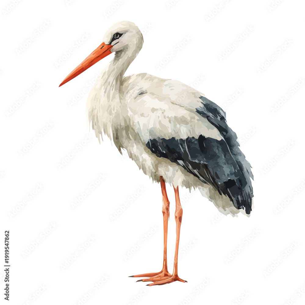 Ταπετσαρία Stylized watercolor Stork vector, modern artistic illustration with high-quality details on a pure white background
