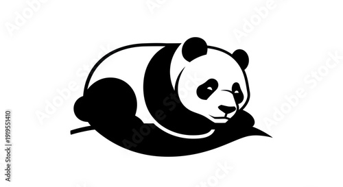 Resting panda bear on white background