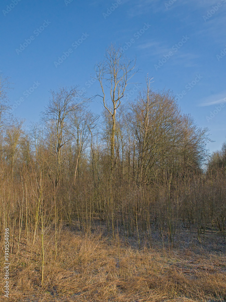 Obraz premium Abstract blue-grey motion blur background with diagonal lines 