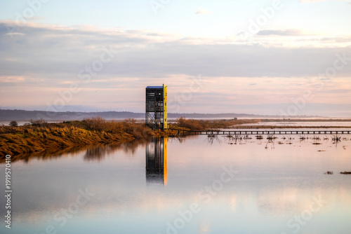 Sunset or sunrise on National park of Evros Delta, near Alexandroupolis and Turkish border, Dadia forest and protected wetland, bird migratory season, cloudy sky