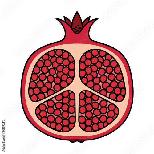A cross-section illustration of a pomegranate showing its juicy seeds and internal structure