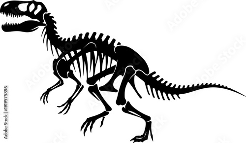Dinosaur skeleton vector black silhouette print design
