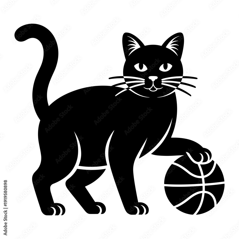 Obraz premium Black cat with basketball