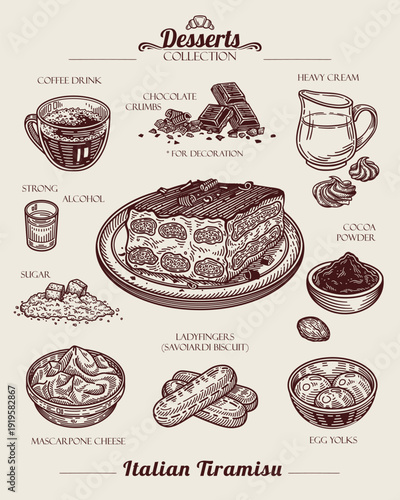 Recipe of Tiramisu Cake with Cocoa Powder and Chocolate Crumbs. Italian Classic Dessert. Line art Illustration, sketch style.