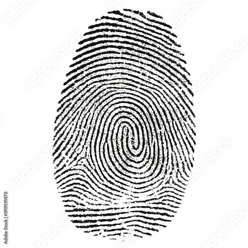 Fingerprint picture