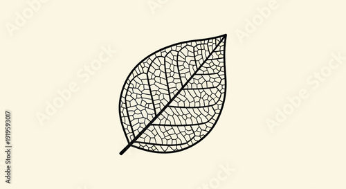 Skeleton Leaf Outline on Beige Background - Delicate Natural Detail