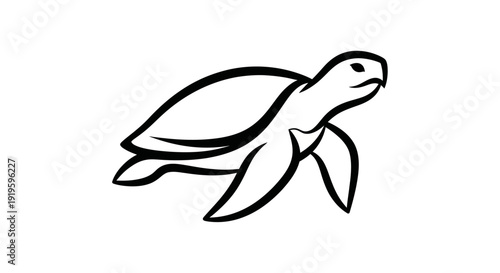 Stylized black and white turtle illustration