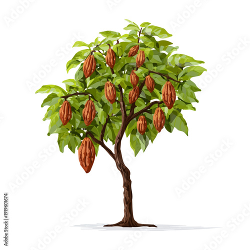 Cacao Tree, rendered in a minimalist 2D flat vector icon style against a pure white backdrop